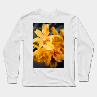 Yellow Orchid Flower Flowering Plant Long Sleeve T-Shirt